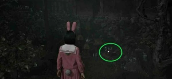 寂静岭f狐仙纹章箱子位置一览,寂静岭f狐仙纹章箱子全收集攻略,寂静岭f