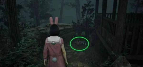 寂静岭f狐仙纹章箱子位置一览,寂静岭f狐仙纹章箱子全收集攻略,寂静岭f