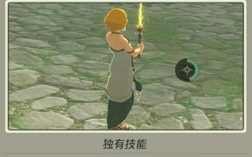 塞尔达无双封印战记独有技能怎么用,塞尔达无双封印战记独有技能使用方法