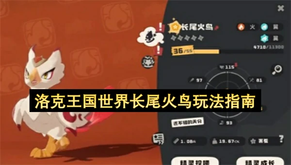 洛克王国世界长尾火鸟怎么玩,洛克王国世界长尾火鸟强度详解,洛克王国世界