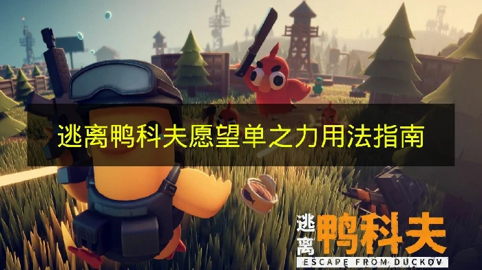 逃离鸭科夫愿望单之力怎么用,逃离鸭科夫愿望单之力有啥用
