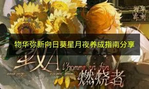 物华弥新向日葵星月夜怎么培养,物华弥新向日葵星月夜搭配,物华弥新