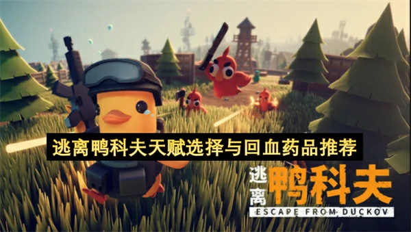 逃离鸭科夫天赋选择与回血药品推荐攻略,逃离鸭科夫天赋怎么选,逃离鸭科夫