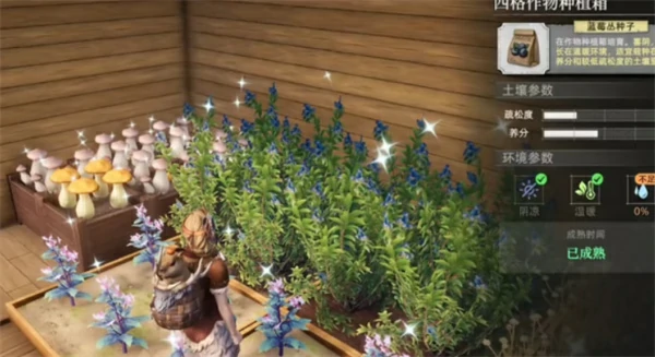 荒原曙光新手完美种植玩法攻略,荒原曙光土壤获取方法,荒原曙光