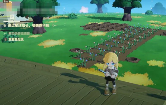 星布谷地露卡活力怎么玩,星布谷地露卡活力介绍,星布谷地