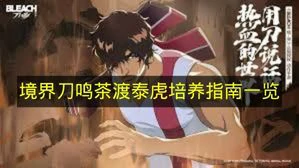境界刀鸣茶渡泰虎怎么培养,境界刀鸣茶渡泰虎定位,境界刀鸣