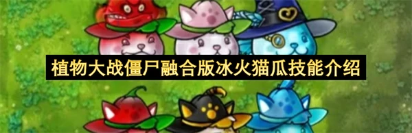 植物大战僵尸融合版冰火猫瓜属性介绍,植物大战僵尸融合版冰火猫瓜特点,植物大战僵尸融合版