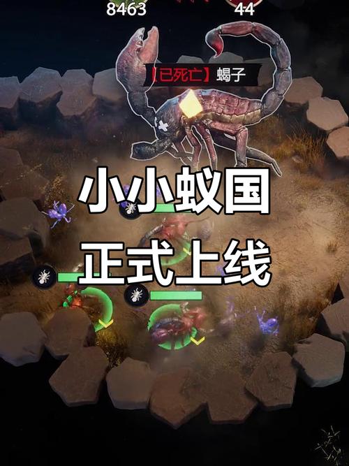 资源与成长支持配图