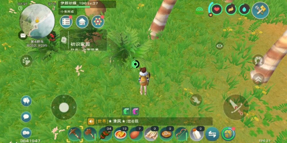 小创君的宝贝宠物图片