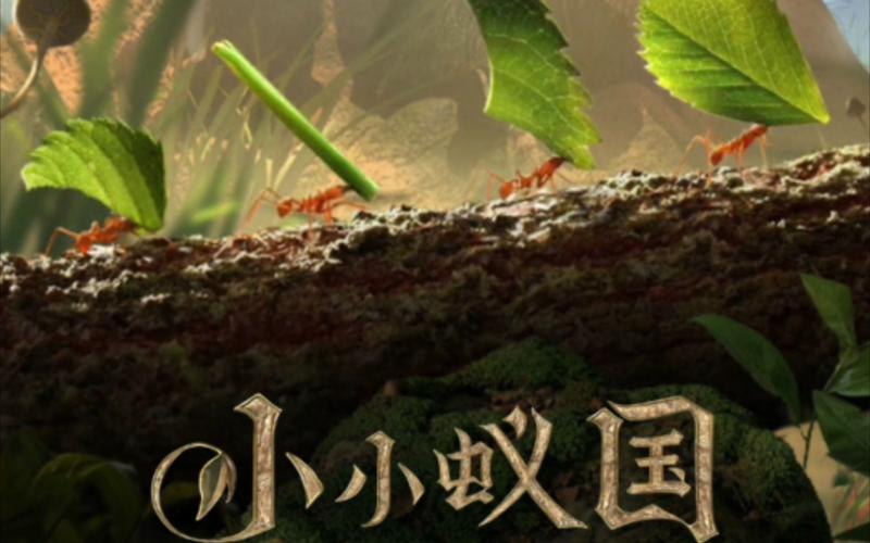 联盟资源情报防御共享示意图