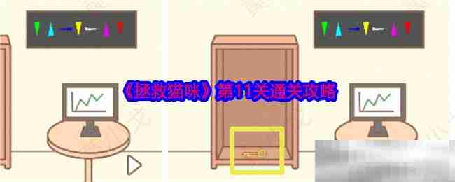 拯救猫咪