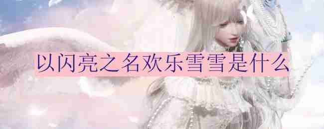 以闪亮之名,以闪亮之名