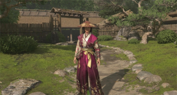 侍女伪装形态