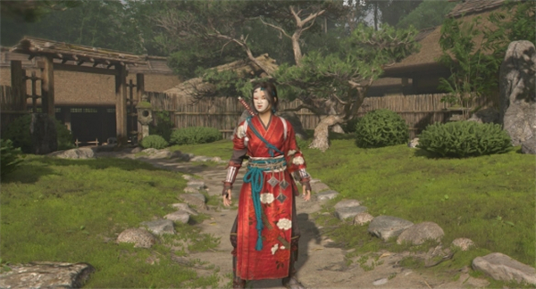 伪装形态切换