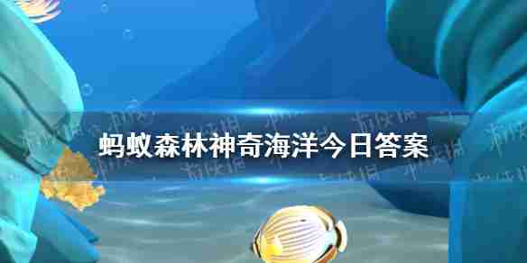 神奇海洋,4月10日答案
