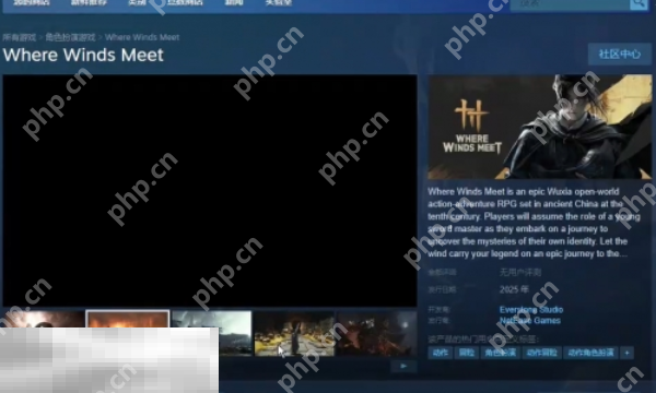 steam,燕云十六声,2025年,2025,燕云十六声,steam