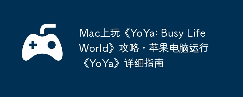 软件安装界面图示
