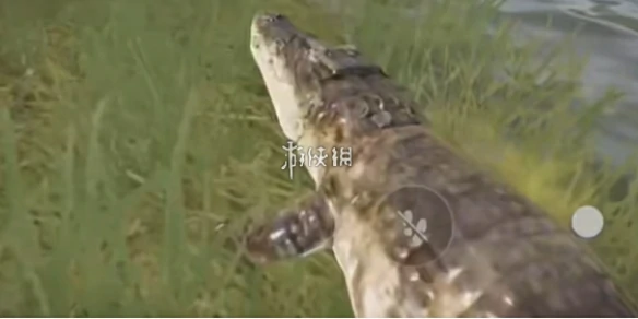 三角洲行动,鳄鱼巢穴位置,三角洲行动