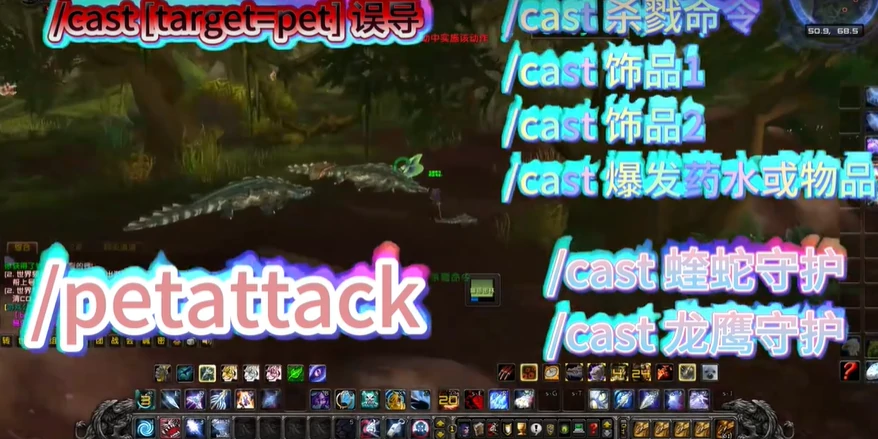 魔兽世界,魔兽世界wlk怀旧服生存猎人常用宏大全,猎人宏命令汇总,魔兽世界