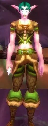 魔兽世界,魔兽世界wlk达纳苏斯剥皮训练师在哪,达纳苏斯剥皮训练师位置,魔兽世界
