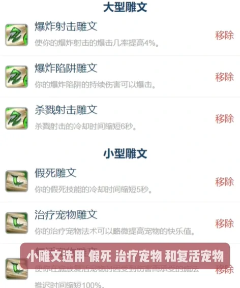魔兽世界,魔兽世界怀旧服猎人超级直升最佳配装,魔兽世界