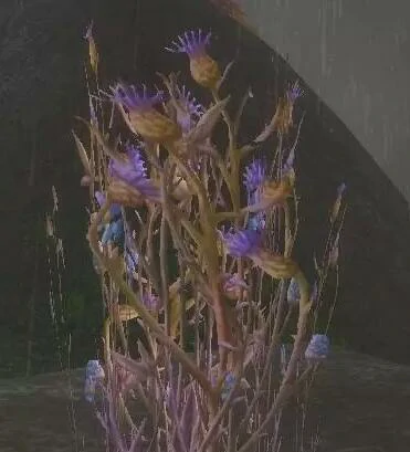 魔兽世界,魔兽世界草药1 - 450冲级攻略,wlk草药1 - 450快速冲级攻略,魔兽世界