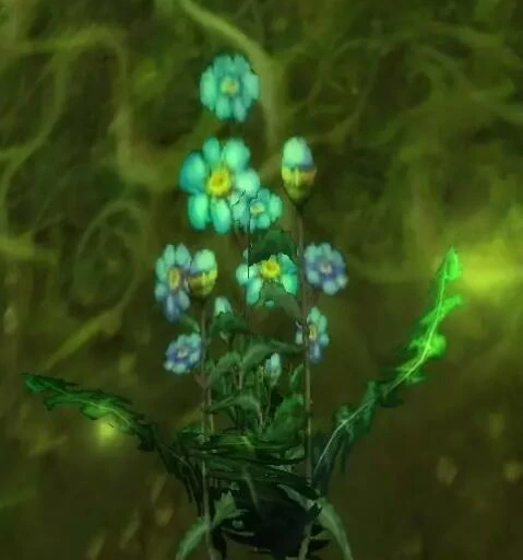 魔兽世界,魔兽世界草药1 - 450冲级攻略,wlk草药1 - 450快速冲级攻略,魔兽世界