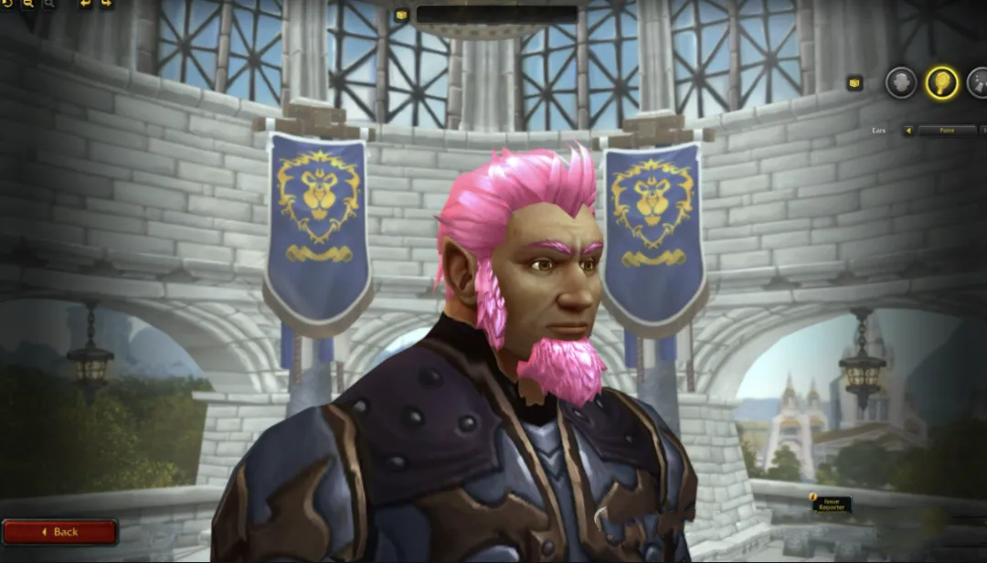 魔兽世界,11.0.7,尖耳朵,魔兽世界,World of Warcraft,魔兽世界