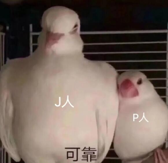p人,MBTI,