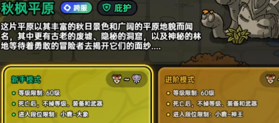 英勇之地,攻略大全