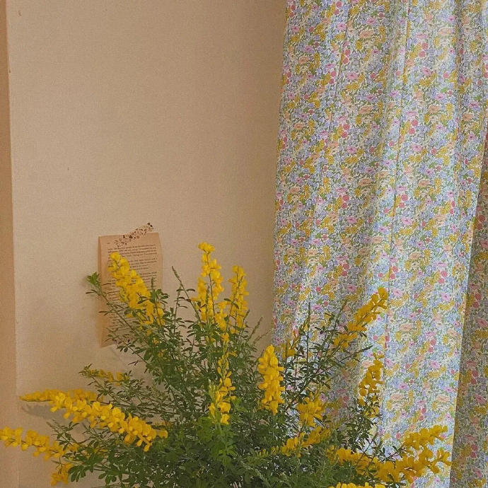 英雄联盟,独特好听的id,英雄联盟独特好听的id大全,英雄联盟