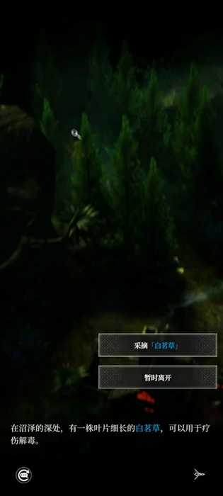 地下城堡4骑士与破碎编年史,浮木沼泽白茗草位置