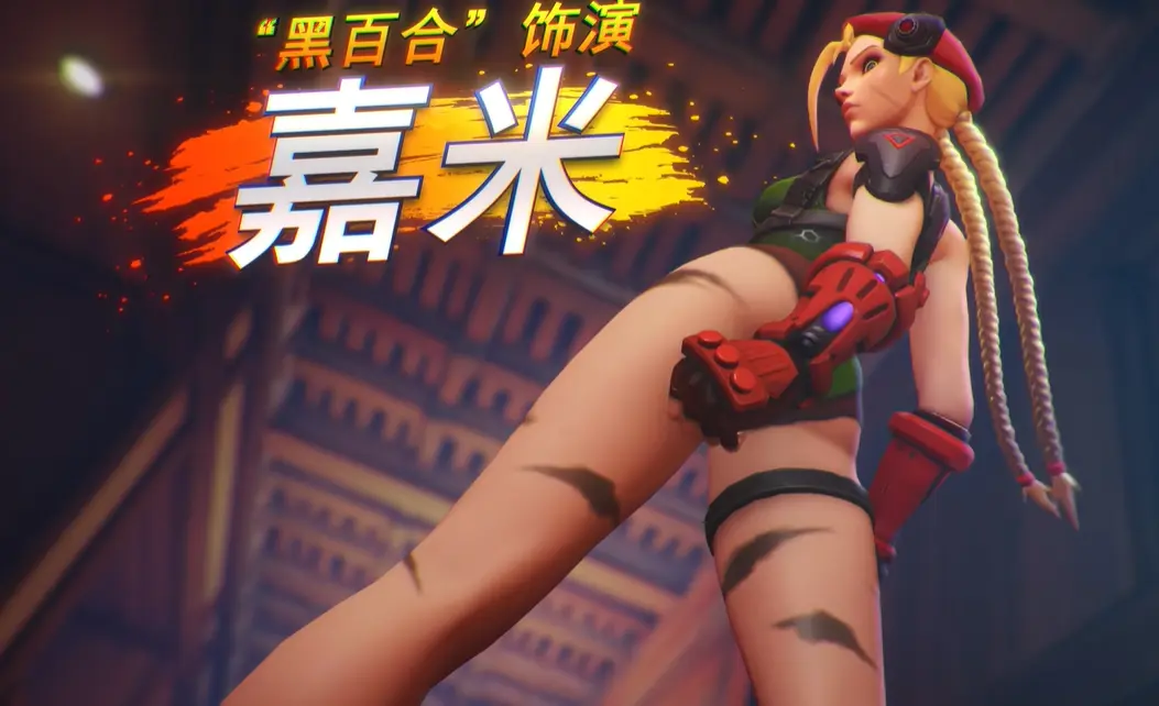 守望先锋,街头霸王6,联动皮肤,守望先锋,Overwatch,守望先锋