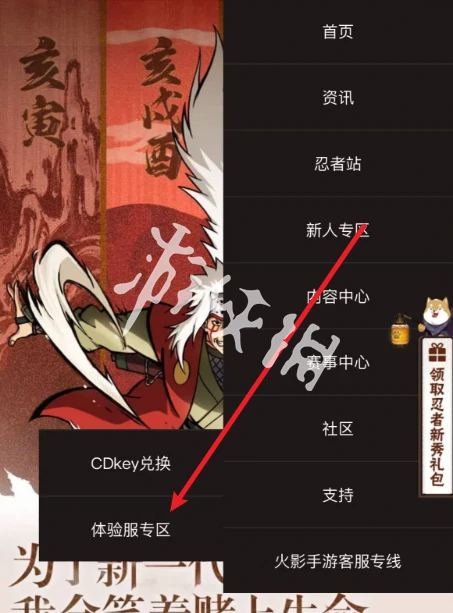 火影忍者,体验服申请资格入口,火影忍者