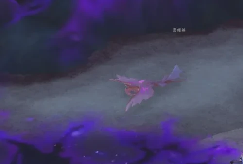 魔兽世界,邪斑鱼卵怎么获得,魔兽世界邪斑鱼卵获得攻略,魔兽世界