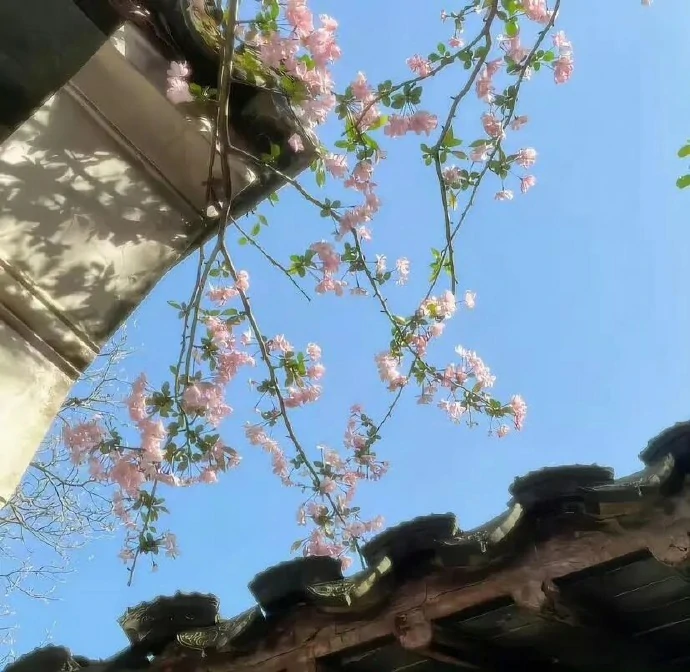 英雄联盟,躺平摆烂懒的网名,英雄联盟躺平摆烂懒的网名大全,英雄联盟