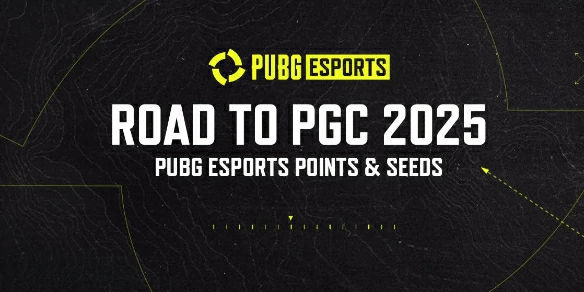 PUBG,pgs2025门票购买