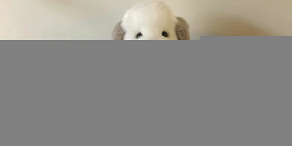英雄联盟,高级感ID二字,英雄联盟高级感ID二字汇总,英雄联盟
