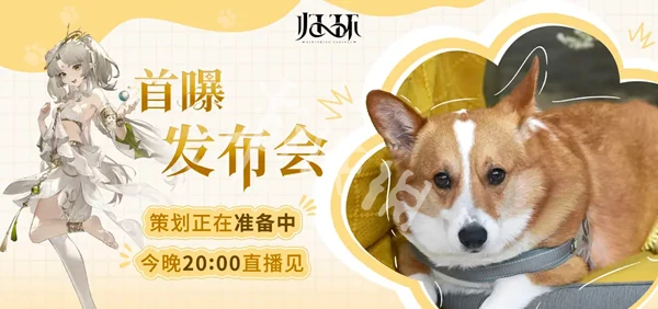 归环,游戏发布会观看入口
