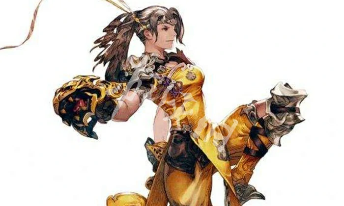 最终幻想14水晶世界,武僧转职方法