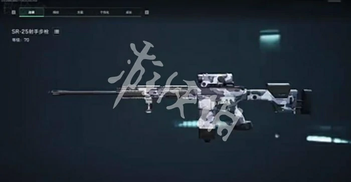 SR-25武器系统示意图