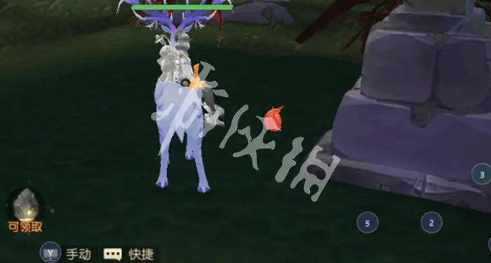 剑与轮回,花语奇遇花朵位置大全