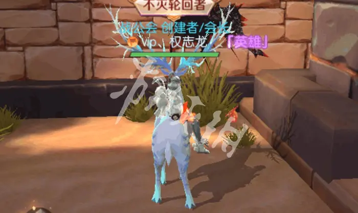 剑与轮回,花语奇遇花朵位置大全