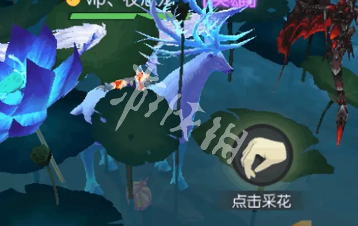 剑与轮回,花语奇遇花朵位置大全