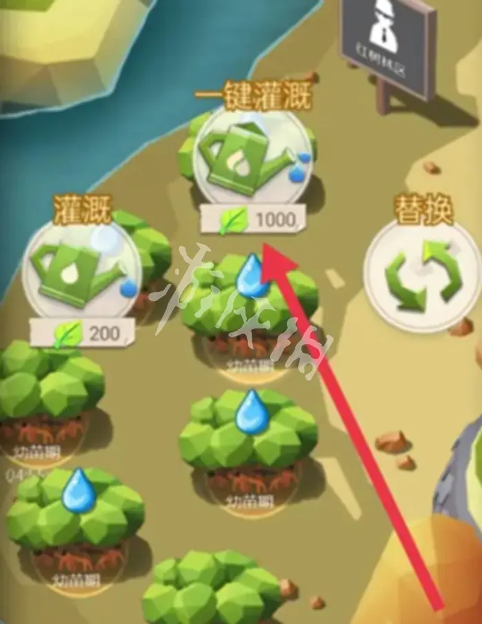 碳碳岛,浇水方法