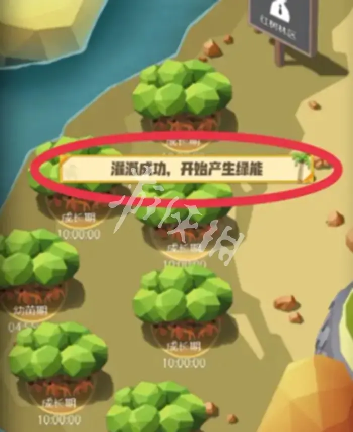碳碳岛,浇水方法
