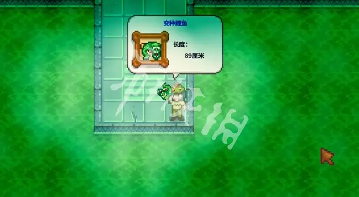 星露谷物语,变种鲤鱼获取方法