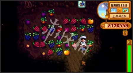 星露谷物语,蘑菇洞和蝙蝠洞选择推荐