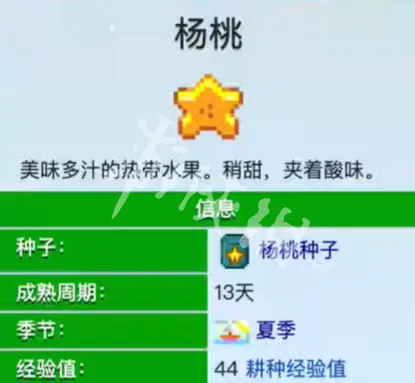 星露谷物语,酿酒材料选择推荐