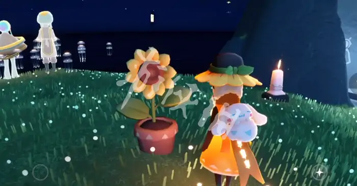 光遇,有友节第二周任务攻略,光遇